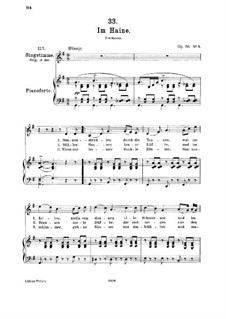 Im Haine (In the Wood), D.738 Op.56 No.3: para voz media e piano by Franz Schubert