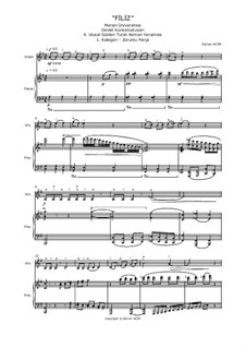 Filiz for Solo Violin and Piano: Filiz for Solo Violin and Piano by Server Acim