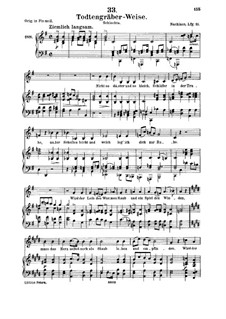 Todtengräberweise (Gravedigger's Song), D.869: para voz media e piano by Franz Schubert