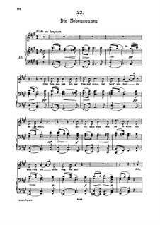 No.23 Die Nebensonnen (The Phantom Suns): para voz alta e piano by Franz Schubert