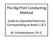 O Texto Grande Conduzir Método: Expanded Exercises Corresponding to Books 1 and 2 by Michele Schottenbauer