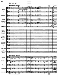 Symphony No.5 in B Flat Major, WAB 105: movimento III by Anton Bruckner