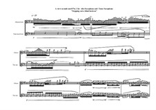 A view seconds motif No.1 for Alto Saxophone and Tenor Saxophone, MVWV 792: A view seconds motif No.1 for Alto Saxophone and Tenor Saxophone by Maurice Verheul