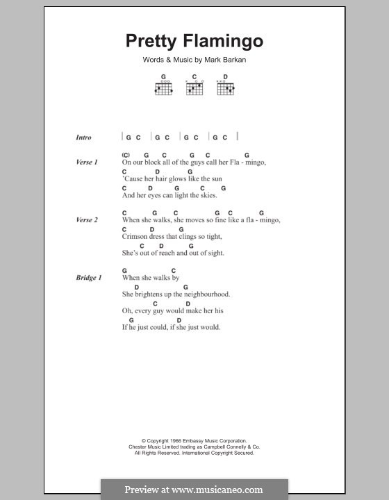 Pretty Flamingo: Letras e Acordes by Mark Barkan