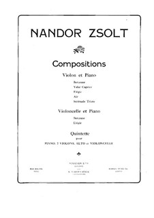 Piano Quintet in B Flat Minor: partitura completa by Nándor Zsolt