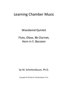 Learning Chamber Music: quinteto de sopro by Michele Schottenbauer