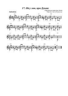 Ой, у гаю пры Дунаю: Для гитары by folklore