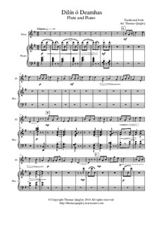 Dilín ó Deamhas: para flauta e piano by folklore