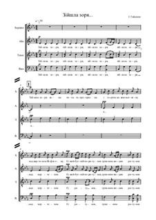 Взошла зоря ясна: Взошла зоря ясна by Igor Haidenko