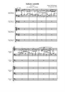 Andante cantabile, Op.06: Andante cantabile by Jürgen Pfaffenberger