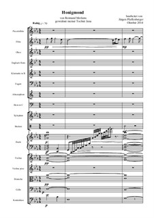 Honigmond: para orquestra sinfonica by Reimund Merkens