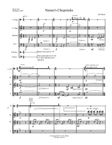 Nature's Chopsticks for flex ensemble: Nature's Chopsticks for flex ensemble by Zae Munn