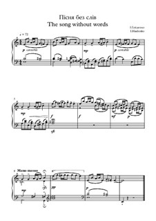 Song Without Words: Canção sem palavras by Igor Haidenko