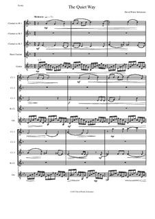The Quiet Way: For clarinet quartet and guitar by David W Solomons