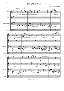 The Quiet Way: Para quarteto de sopro by David W Solomons