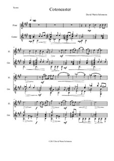 Cotoneaster: para flauta e guitarra by David W Solomons