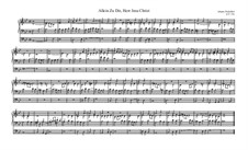 Allein zu dir, herr jesu christ: Allein zu dir, herr jesu christ by Johann Pachelbel