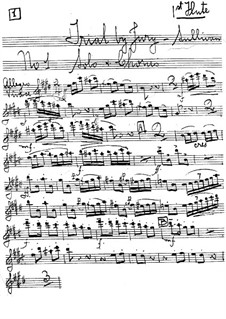 Trial by Jury: parte de flautas by Arthur Seymour Sullivan
