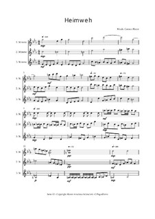 Saudade - Trio para Violino, C.PiqueDame - médio, Op.01045: Saudade - Trio para Violino, C.PiqueDame - médio by Carmen Hoyer