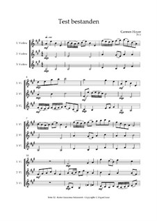 Test Passed - Trio para Violino, C.PiqueDame - medium, Op.010414: Test Passed - Trio para Violino, C.PiqueDame - medium by Carmen Hoyer