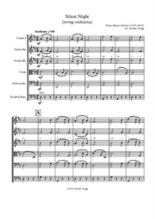 Ensemble version: para orquetra de cordas by Franz Xaver Gruber