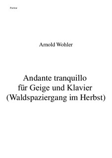 Andante tranquillo für Geige und Klavier: Andante tranquillo für Geige und Klavier by Arnold Wohler