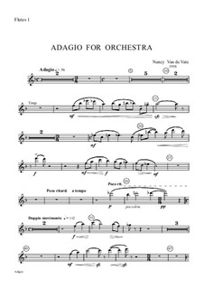 Adagio for Orchestra: partes by Nancy Van de Vate