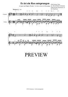 Lo, How a Rose E'er Blooming: para clarinete e guitarra by Michael Praetorius