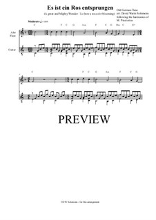 Lo, How a Rose E'er Blooming: For alto flute and guitar by Michael Praetorius
