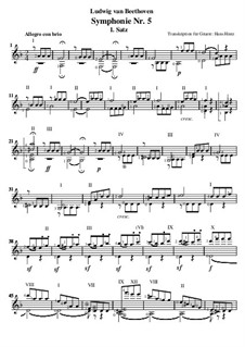 Movement I: versão para guitarra by Ludwig van Beethoven