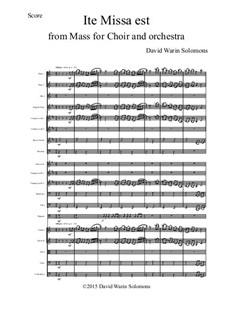 Ite Missa Est for orchestra: Score and parts by David W Solomons