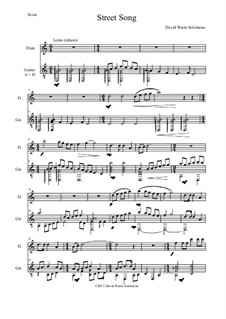 Street Song: para flauta e guitarra by David W Solomons