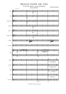 Bunny Rabbits for chamber orchestra - Score only in tabloid format: Bunny Rabbits for chamber orchestra - Score only in tabloid format by David W Solomons