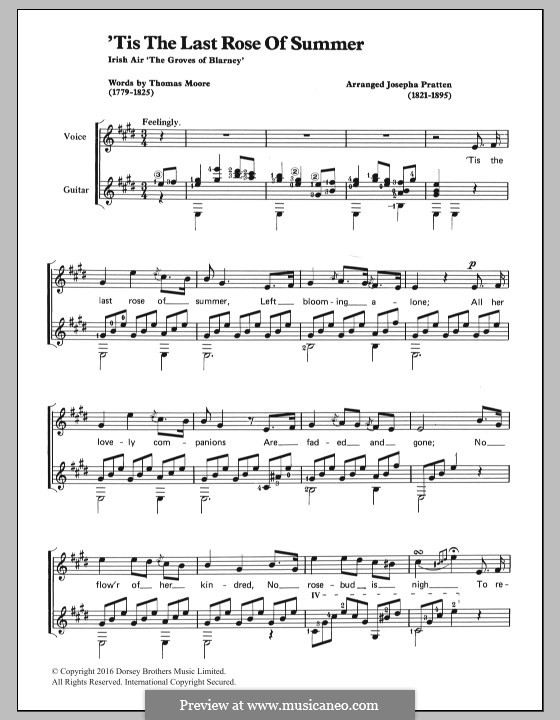 The Last Rose of Summer: para voz e guitarra by folklore