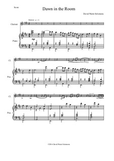 Dawn in the Room: para clarinete e piano by David W Solomons