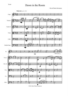 Dawn in the Room: For flute and strings by David W Solomons