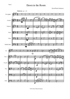 Dawn in the Room: For cor anglais and strings by David W Solomons