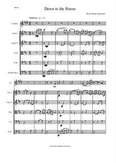 Dawn in the Room: For clarinet and strings by David W Solomons