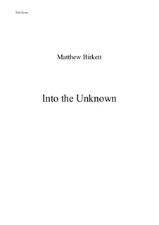 Into the Unknown: Into the Unknown by Matthew Birkett