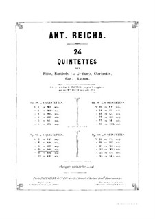 Woodwind Quintet in G Minor, Op.91 No.4: parte flauta by Anton Reicha
