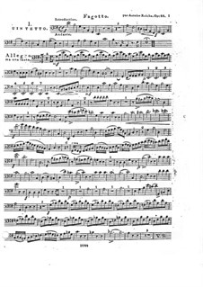 Woodwind Quintet in E Minor, Op.88 No.1: parte fagote by Anton Reicha