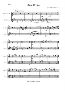 Rosa Divina: For clarinet and alto clarinet by David W Solomons