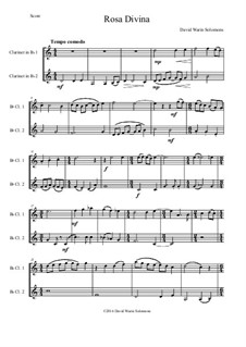 Rosa Divina: para duas clarinetas by David W Solomons