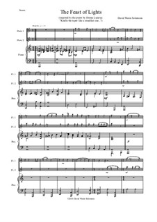 The Feast of Lights: For two flutes and piano by David W Solomons