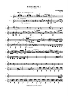 Serenade No.1, Op.20: Serenade No.1 by Ali Jahangard