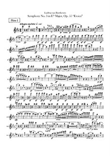 Complete set: parte de flautas by Ludwig van Beethoven