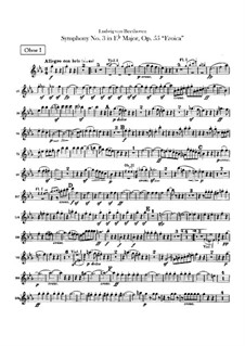 Complete set: parte de oboes by Ludwig van Beethoven
