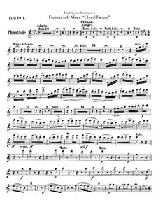 Fantasia in C Minor, Op.80: parte de flautas by Ludwig van Beethoven
