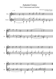 Autumn Comes: For C-instrument and guitar (A Minor) by folklore