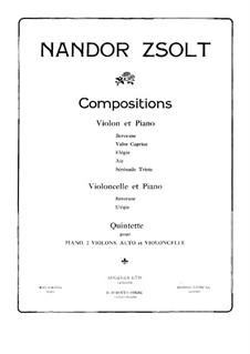Piano Quintet in B Flat Minor: violino parte I by Nándor Zsolt